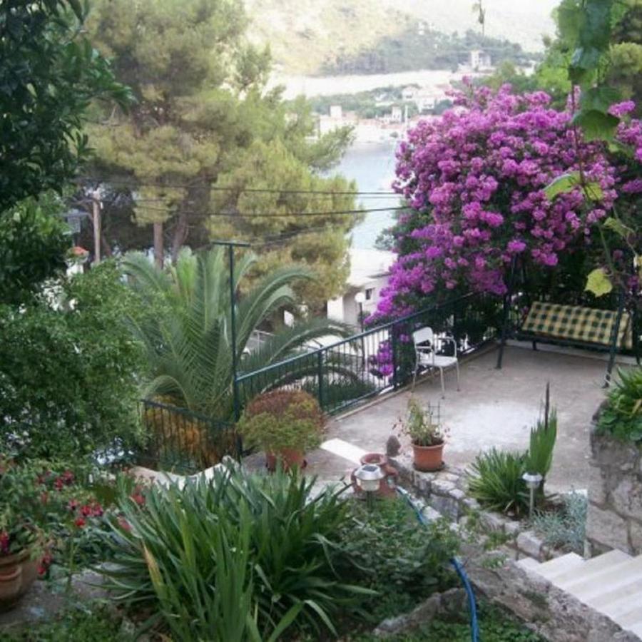 Laura Mljet Apartment *