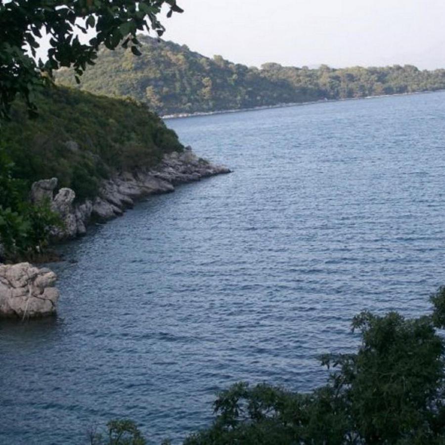 Laura Mljet * Sobra